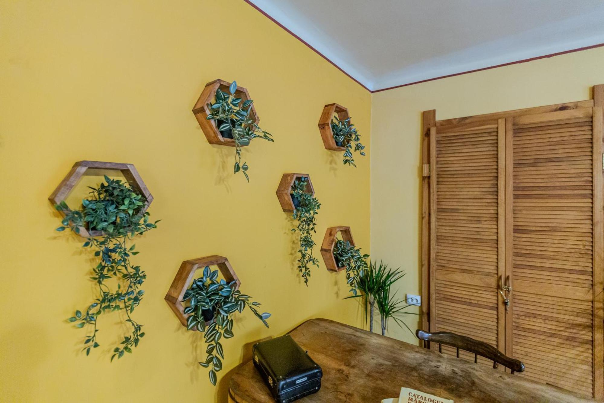 Appartement Tree House-Old Town Braşov Extérieur photo